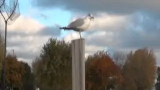 Visit Port Clinton