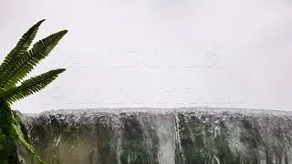 Fern leaves overhanging a waterfall in Vietnam