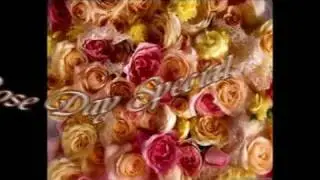rose day 2014