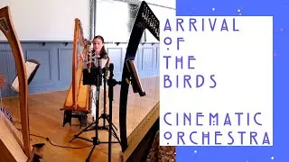ARRIVAL OF THE BIRDS - THE CINEMATIC ORCHESTRA - ARR. SOPHIE ROCKS - THE WILLOW TRIO - LIVE