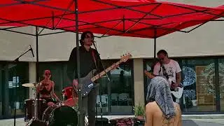 Destruction unit MX