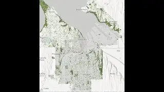 Tacoma Tree Foundation:  Growing Tree Equity and Community Resiliency in Tacoma's Urban Forests