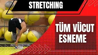 Esnemek İsteyen Bunu Yapsın | Tüm Vücut