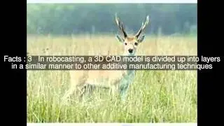 Robocasting Top  #6 Facts