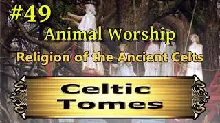 Animal Worship CT049