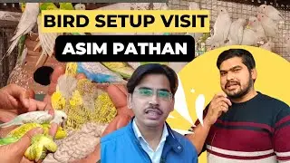 Bird Setup Visit Mr. Asim Pathan | खोले कुछ नए राज़ | @aligarhbudgiesandfinches
