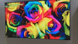 Các tùy chọn màn chiếu Tiến Nam