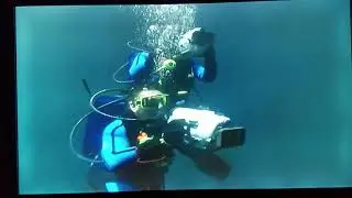 Free Willy 3 The Birth