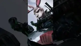 Zoo Punk First Look Edit / My Heart Move Move