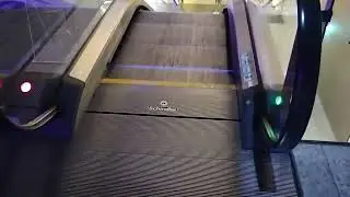 Very Cool Schindler Escalators at Radisson in Zurich Airport