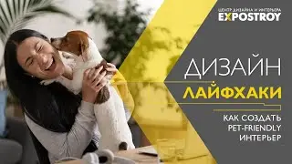 Pet-friendly: как создать неубиваемый интерьер в квартире с питомцами