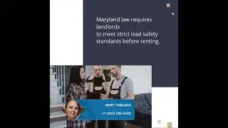 Ensure a Safe Home: Complete Your Baltimore Lead Inspection