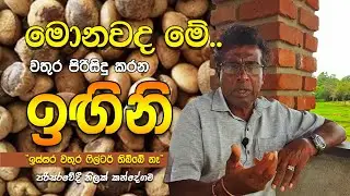 මොනවද මේ වතුර පිරිසිදු කරන 