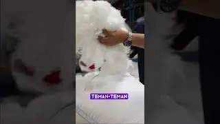 BANTAL BULU ANGSA SINTETIS ADALAH MICROFIBER ORIGINAL, NAH GIMANA BEDAKAN KE 2  ???😵‍💫😵‍💫😵‍💫