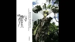[2013] Wave Temples - Floating Garden / Hidden Temple