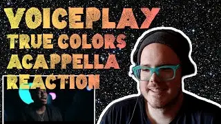 VOICEPLAY | TRUE COLORS ACAPPELLA REACTION | MUSICIAN REACTS