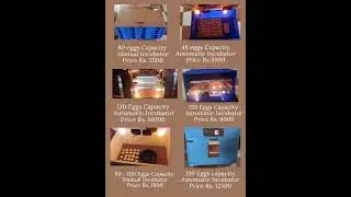 Incubators Price & Details