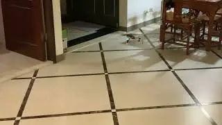 Intermeshing Quadcopter Hover Practice