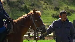Thrilling Horse Riding Escapades | Bran Adventure