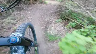 Shrooms Downhill MTB Victoria Park Christchurch - #Thursdaytrails
