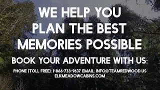 Redwood Adventures Private Tours