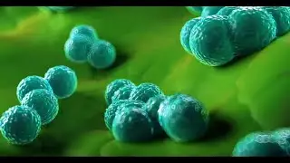 Using Blue Light To Kill A Superbug Bacteria