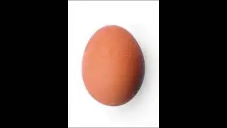 Яйко бардзо дуже яйко  песня Польская