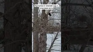 Прогулка в зтюимний сад.Спасение кота с дерева. Февраль.2026