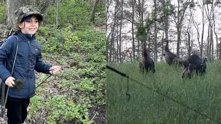 05-11-25 Tessa's First Turkey Hunt- Decoy Gets Beat Up (again)