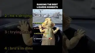 Ranking The Best Lizard Moments