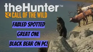 I got the Fabled Spotted Great One Bear on PC! (theHunter: Call of the Wild)