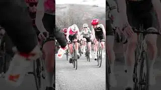 Ravito sur le bord de route #coursecycliste #cyclismejunior #insideteam #stadetoulousain #teamspirit