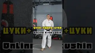 🔥Комбинация с Уширо | Online Karate #mma #karate #киокушинкай #кекусинкай #kyokushin #kickboxing