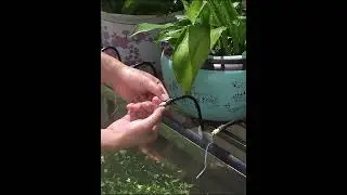 360&deg; #flexible hose #automatic #wateringsystem #wateringplants Garden #greenhouse   #christmasgifts