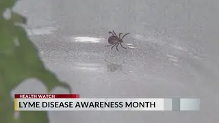 ECU Health experts raise awareness to Lyme Disease