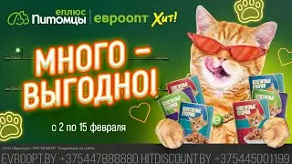 Много корма не бывает! Особенно, когда это так выгодно! 😻
