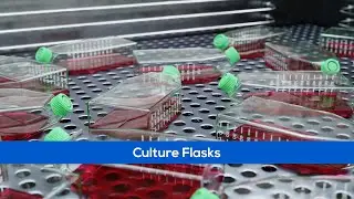 Medical Animation - Culture Flasks