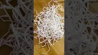 MAKING A WEDDING DRESS OUT OF TOILET PAPER?!!!