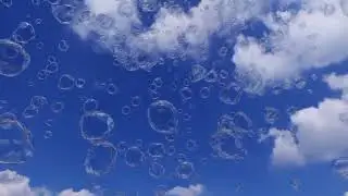 Bubbles   85220