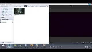 SOLUCION ( PANTALLA NEGRA ) EN AVS VIDEO EDITOR 2019 - 2025