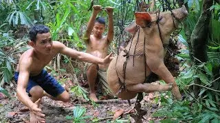 Amazing! Make Wild Pig Trap the Roasted Pig Eat to Survival in Forest