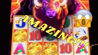 😳BUFFALO STAMPEDE BONUS IS AMAZING!! #slots #subscribe #casino #lasvegas #buffalo