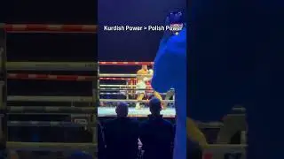 KURDISH POWER! 💥🥊 #boxing #boxingnews #Kurdistan #agitkabayel #knockout #ko