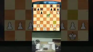 Beautiful Checkmate in Chess History #checkmate