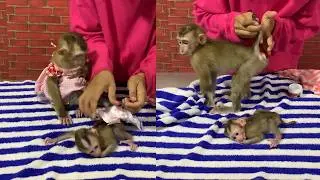 Tiny Baby Monkey Diaper Time 🐵💗 So Cute & Funny!