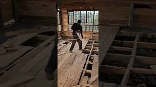 Our offgrid cabin is progressing well.    #shortvideo #viral #trending #reels #travel #offgrid