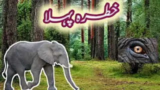 Jungle Ki Aqalmand Taqat 🧠 | Animal Sixth Sense | Janwar Khatra Kaise Mehsoos Karte Hain