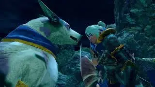 Complete Optional Subquests: Honey, Account Items, & Permabuffers &ndash; Request | Monster Hunter Rise NS