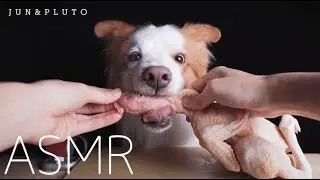 DOG ASMR | 我殺了一整隻雞🐓！What does my dog ​​eat in Taiwan #2