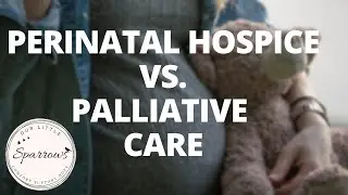 Perinatal Hospice Vs. Palliative Care For My Terminal Baby? Ep15, The Pregnancy Loss Journey
